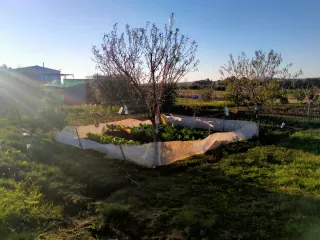 Parcela frente al vivero