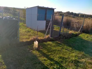 Parcela frente al vivero