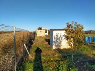 Parcela frente al vivero