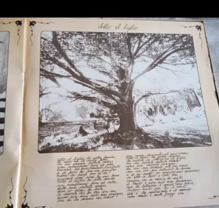 Angelo Branduardi - Alla fiera dell'est Vinile