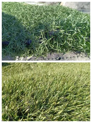 Césped artificial reciclado