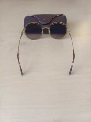 Gafas de sol Etnia Barcelona Marrón y Dorado