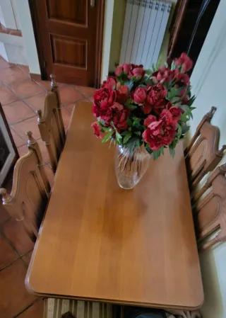 Tavolo da pranzo e 6 sedie in legno