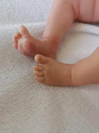 Muñeca Reborn Nueva