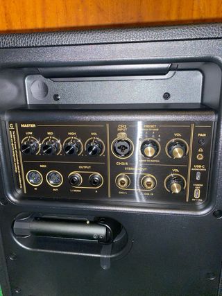 Positive Grid Spark Live AMP