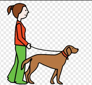 Paseador de perros en Benidorm