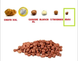 Chufa Mini Deshidratada