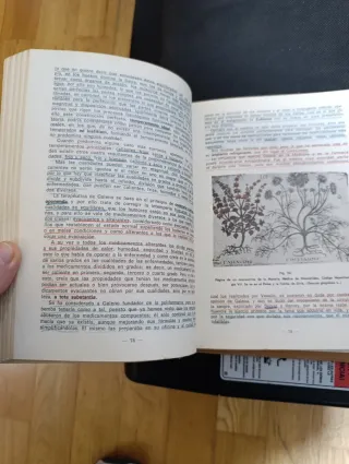 Historia de la Farmacia