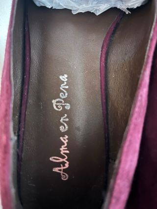 Bailarinas Alma en Pena Rosa