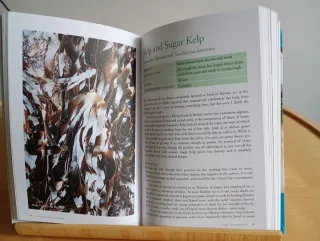 Edible Seashore River Cottage Handbook