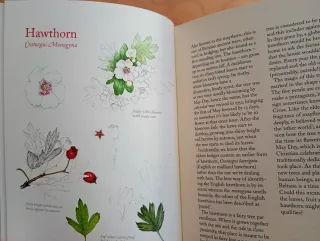 The Hedgerow Handbook Recipes, Remedies and Rit...