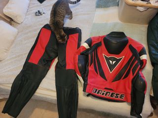 Traje de moto Dainese piel rojo/negro