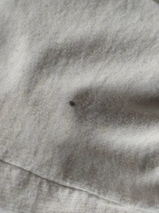 Felpa Disney Minnie donna beige