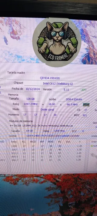 256GB RAM ECC DDR4 SK hynix 2400T( 4 x 64GB )