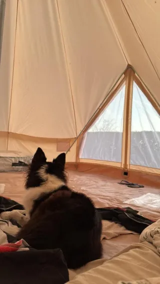 Tienda Campaña Lona 3m 4 Personas VEVOR✅️