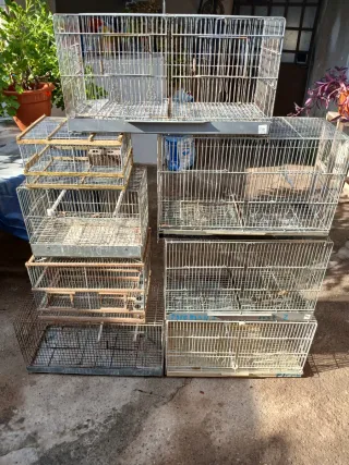 Jalones para pajaros