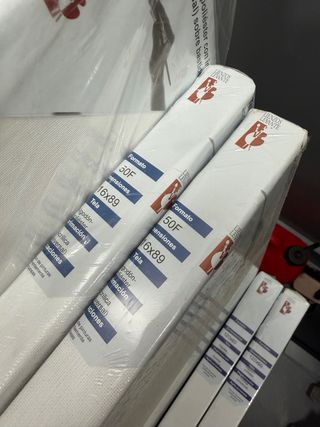 Lienzos para pintar