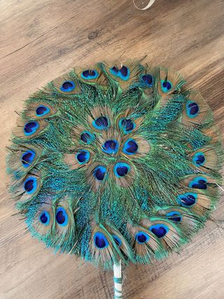 Abanico de plumas de pavo real