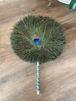 Abanico de plumas de pavo real