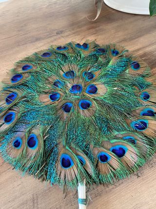 Abanico de plumas de pavo real