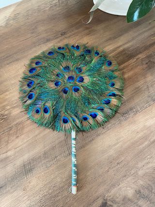 Abanico de plumas de pavo real