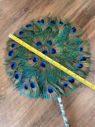Abanico de plumas de pavo real