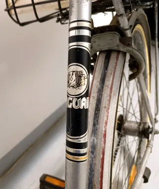 Bicicleta Holandesa Paseo Cesta