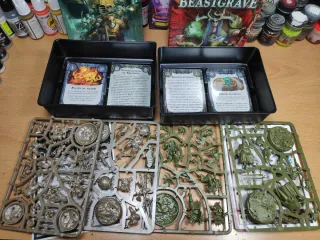 Lote Warhammer Underworlds