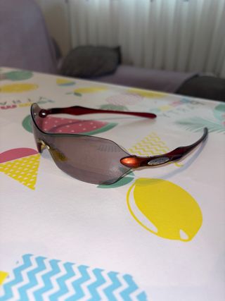 antiguas gafas oakley