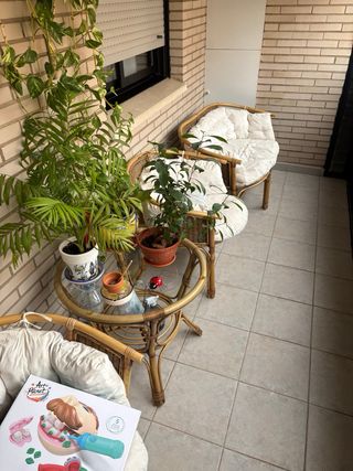Conjunto Terraza/jardín  Mimbre y Cojines