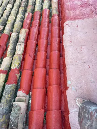 Servicios de pintura profesional