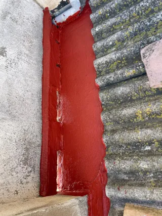 Servicios de pintura profesional