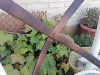 Seggiole Crossback Thonet in legno e iuta