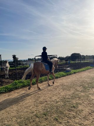 Pupilaje para caballos