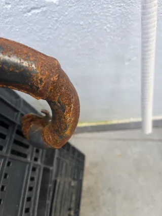 Yasuni R Minarelli Horizontal