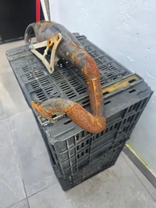 Yasuni R Minarelli Horizontal