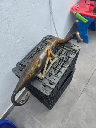 Yasuni R Minarelli Horizontal