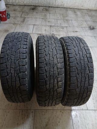 3 Ruedas todoterreno 4x4