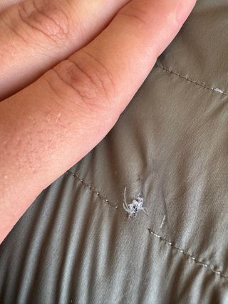 Chaqueta The North Face 700 Negra/Verde