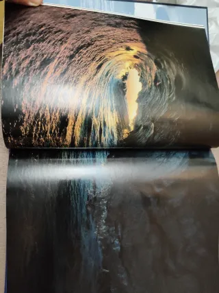 El reino animal. Los reinos del mar