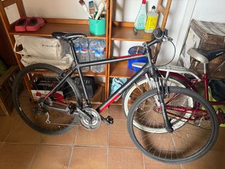 Bicicleta Híbrida Emotion