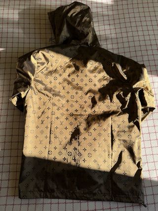 Giubbotto Louis Vuitton Marrone/Oro