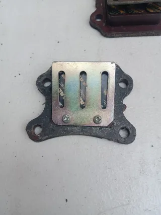 Láminas Malossi Honda Wallaroo PK50S