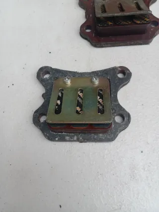 Láminas Malossi Honda Wallaroo PK50S