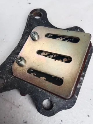 Láminas Malossi Honda Wallaroo PK50S