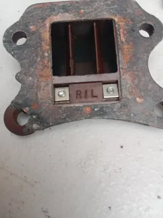 Láminas Malossi Honda Wallaroo PK50S