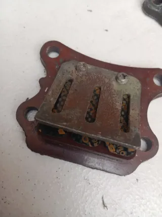 Láminas Malossi Honda Wallaroo PK50S