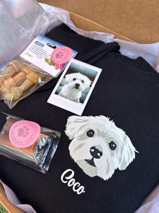 Impresora Procolored