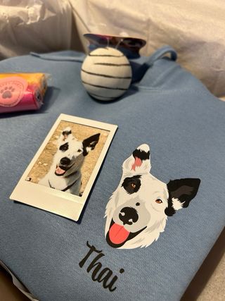 Impresora Procolored