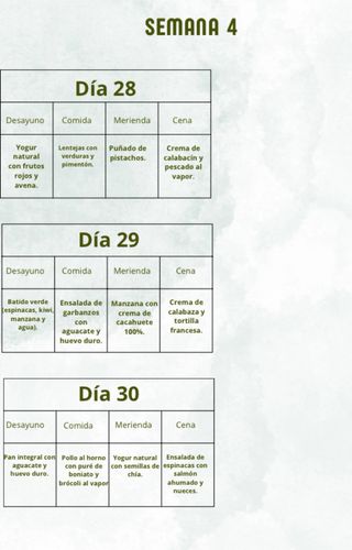 Ebook Menú Saludable 30 Días